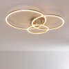 Chilkat Ceiling Light LED matt nickel, 1-light source