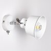 Safari Wall Light white, 1-light source