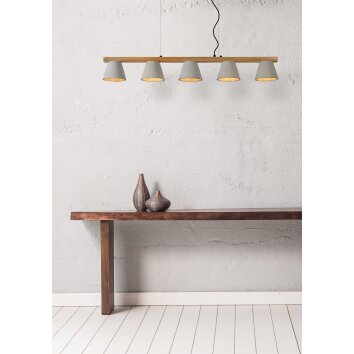 Lucide POSSIO hanging light grey, 5-light sources