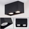 Awuna Ceiling Light black, 2-light sources