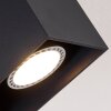 Awuna Ceiling Light black, 2-light sources