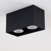 Awuna Ceiling Light black, 2-light sources