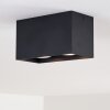 Awuna Ceiling Light black, 2-light sources