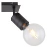 Globo HERMINE Spotlight black, 2-light sources