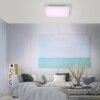 Paul Neuhaus Q-FLAG Ceiling light LED white, 1-light source, Remote control, Colour changer