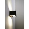 Spider Outdoor Wall Light LED anthracite, 1-light source
