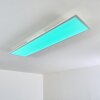Antria Ceiling Light LED white, 1-light source, Remote control, Colour changer