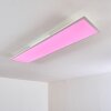 Antria Ceiling Light LED white, 1-light source, Remote control, Colour changer