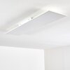 Antria Ceiling Light LED white, 1-light source, Remote control, Colour changer