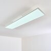 Antria Ceiling Light LED white, 1-light source, Remote control, Colour changer