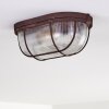 Catawba Ceiling Light rust-coloured, 1-light source