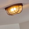 Catawba Ceiling Light rust-coloured, 1-light source