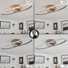 Harpeth Ceiling Light LED matt nickel, 1-light source