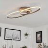 Harpeth Ceiling Light LED matt nickel, 1-light source