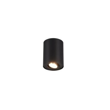 Ceiling Light Trio Leuchten COOKIE black, 1-light source