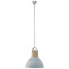 Steinhauer MEXLITE Pendant Light grey, 1-light source