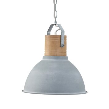 Steinhauer MEXLITE Pendant Light grey, 1-light source