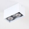 Awuna Ceiling Light white, 2-light sources