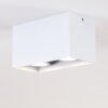 Awuna Ceiling Light white, 2-light sources