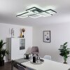 GHANA Ceiling Light LED black, 1-light source, Remote control