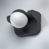 LEDVANCE ENDURA Outdoor Wall Light black, 1-light source