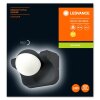 LEDVANCE ENDURA Outdoor Wall Light black, 1-light source