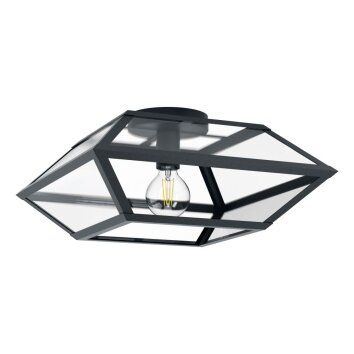 EGLO CASEFABRE Ceiling Light black, 1-light source