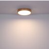 Globo WEDIO Ceiling Light LED, 1-light source, Remote control