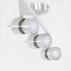 Steinhauer NATASJA Ceiling Light LED stainless steel, 3-light sources