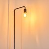 Valocolla Floor Lamp black, 1-light source