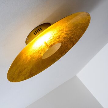 Nipissing ceiling light LED gold, 1-light source