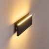 Obion Wall Light LED anthracite, 2-light sources