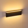 Obion Wall Light LED anthracite, 2-light sources
