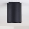 BETSIE Ceiling Light black, 1-light source