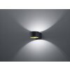 Trio LACAPO wall light LED black, 1-light source