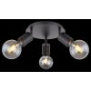 Globo HERMINE Spotlight black, 3-light sources