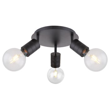 Globo HERMINE Spotlight black, 3-light sources