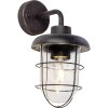 Brilliant CARLISLE outdoor wall light rust-coloured, 1-light source