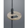 Floor Lamp Trio Leuchten CLAAS black, 1-light source