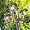 NATAL Lamp Post black-gold, 3-light sources