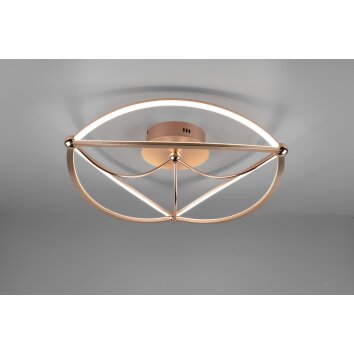 Trio CHARIVARI Ceiling Light LED brass, 1-light source