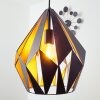 Eglo CARLTON 1 hanging light black, silver, 1-light source