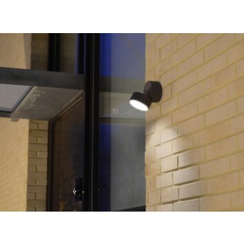 Lutec TRUMPET Outdoor Wall Light LED anthracite, 1-light source