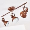 Ceiling Light Tina rust-coloured, 3-light sources