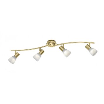 Trio LEVISTO ceiling spotlight LED brass, 4-light sources