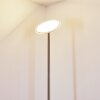 Wonsbek Floor Lamp LED matt nickel, 1-light source