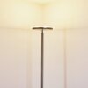 Wonsbek Floor Lamp LED matt nickel, 1-light source