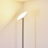 Wonsbek Floor Lamp LED matt nickel, 1-light source