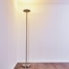 Wonsbek Floor Lamp LED matt nickel, 1-light source