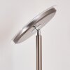 Wonsbek Floor Lamp LED matt nickel, 1-light source